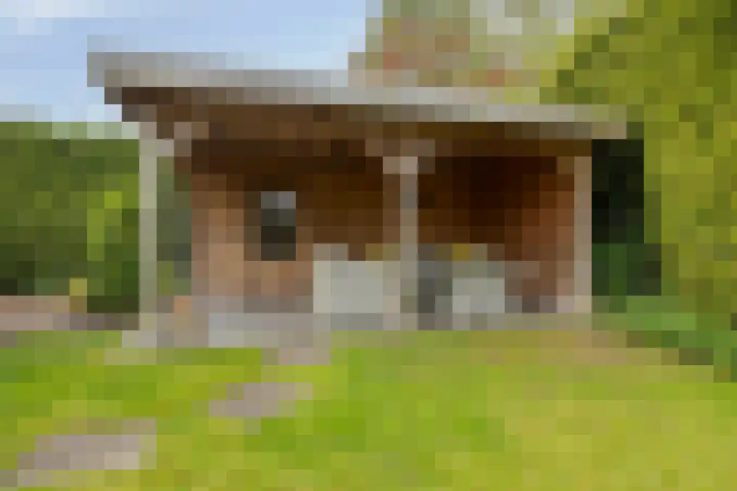 Meerkoet 152 Harmelen thumbnail 30