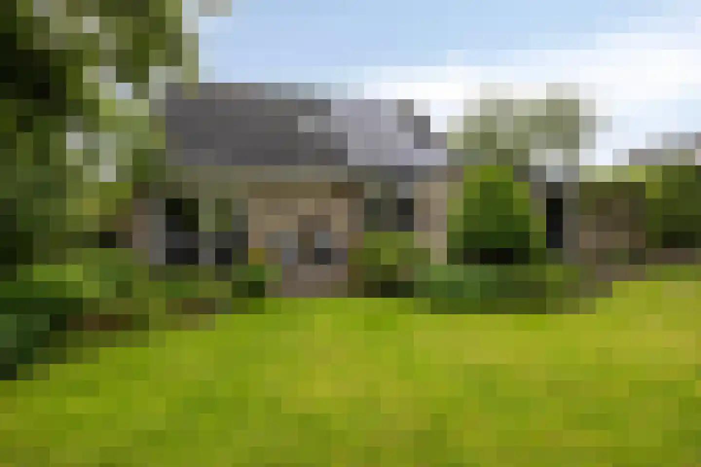 Meerkoet 152 Harmelen thumbnail 32