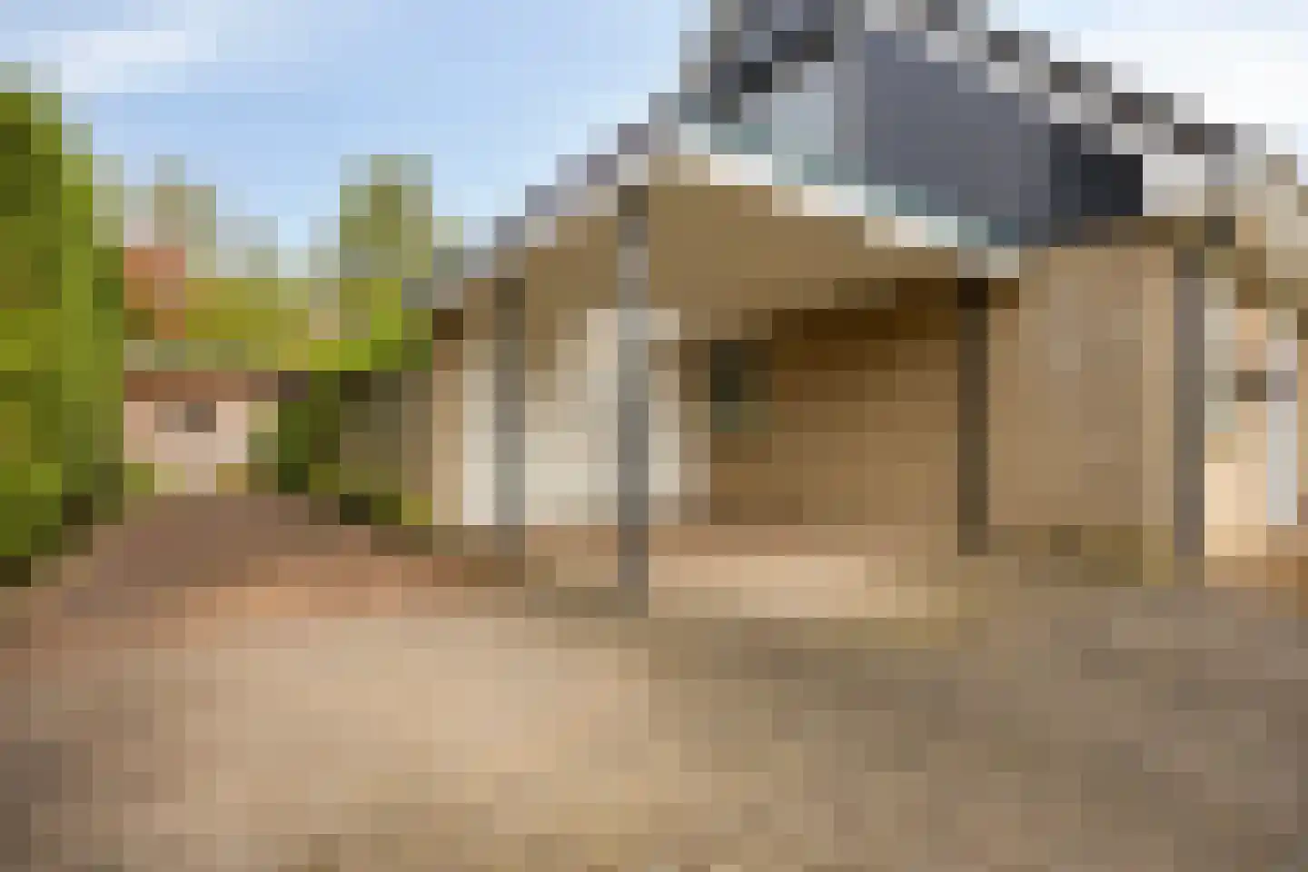Meerkoet 152 Harmelen thumbnail 35