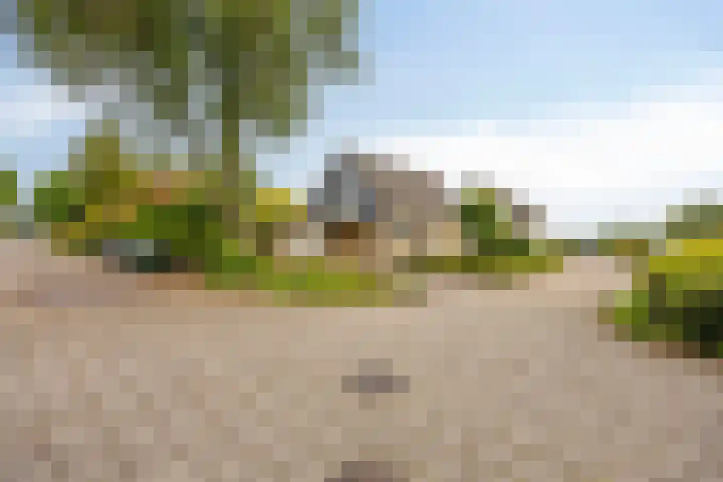 Meerkoet 152 Harmelen thumbnail 38