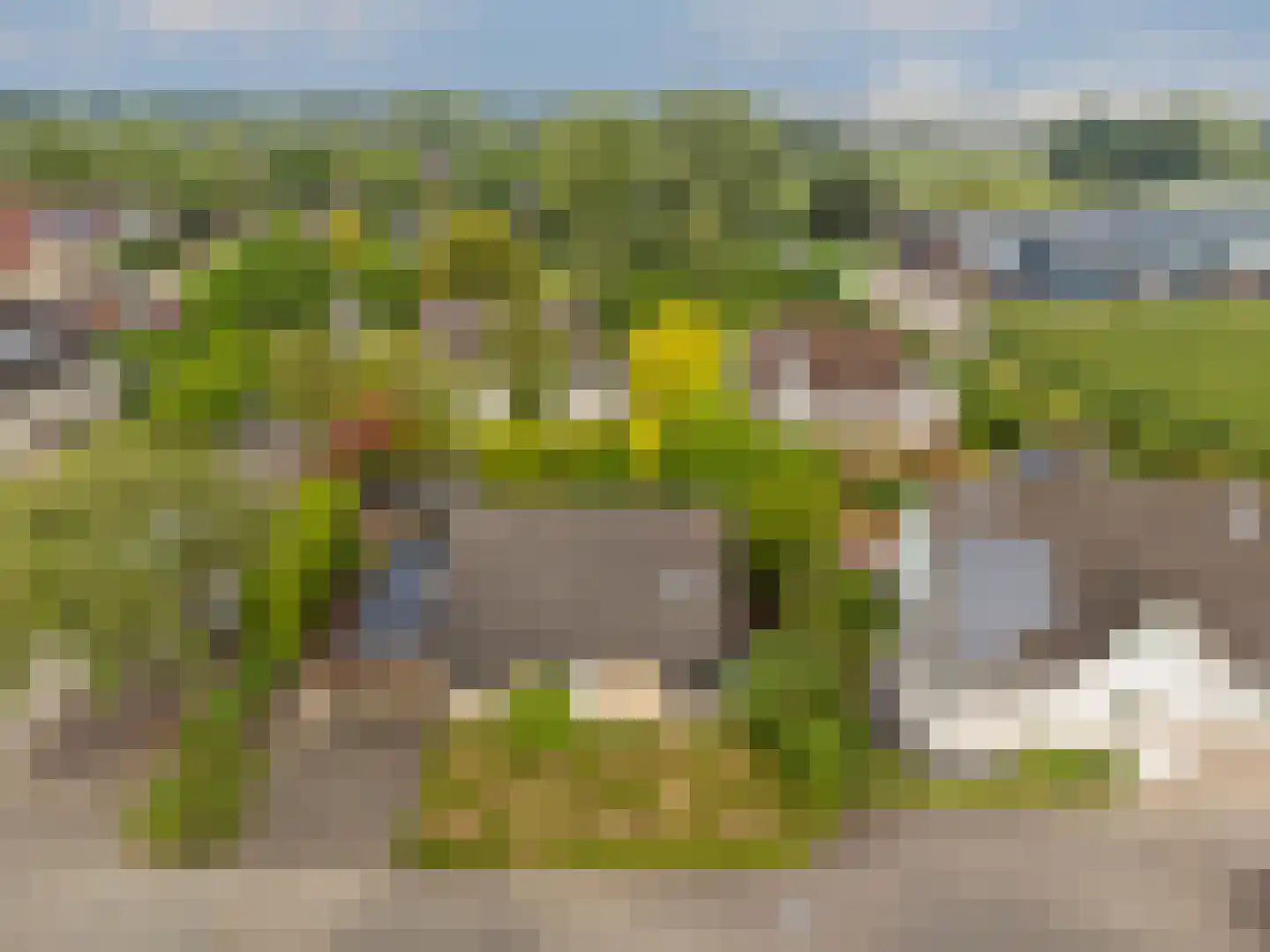 Meerkoet 152 Harmelen thumbnail 41