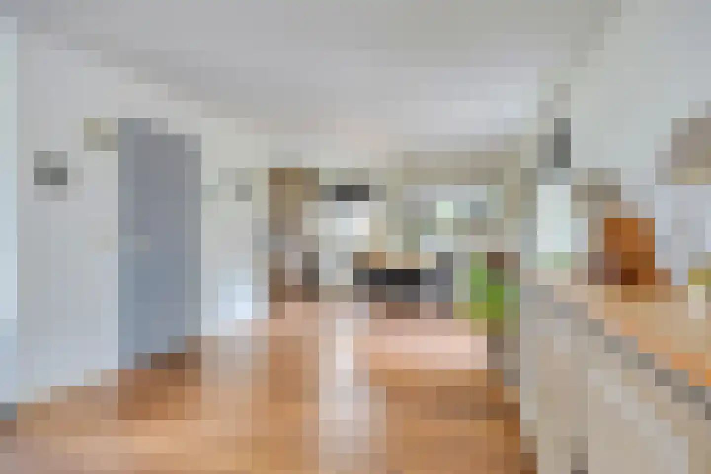 Meerkoet 152 Harmelen thumbnail 9