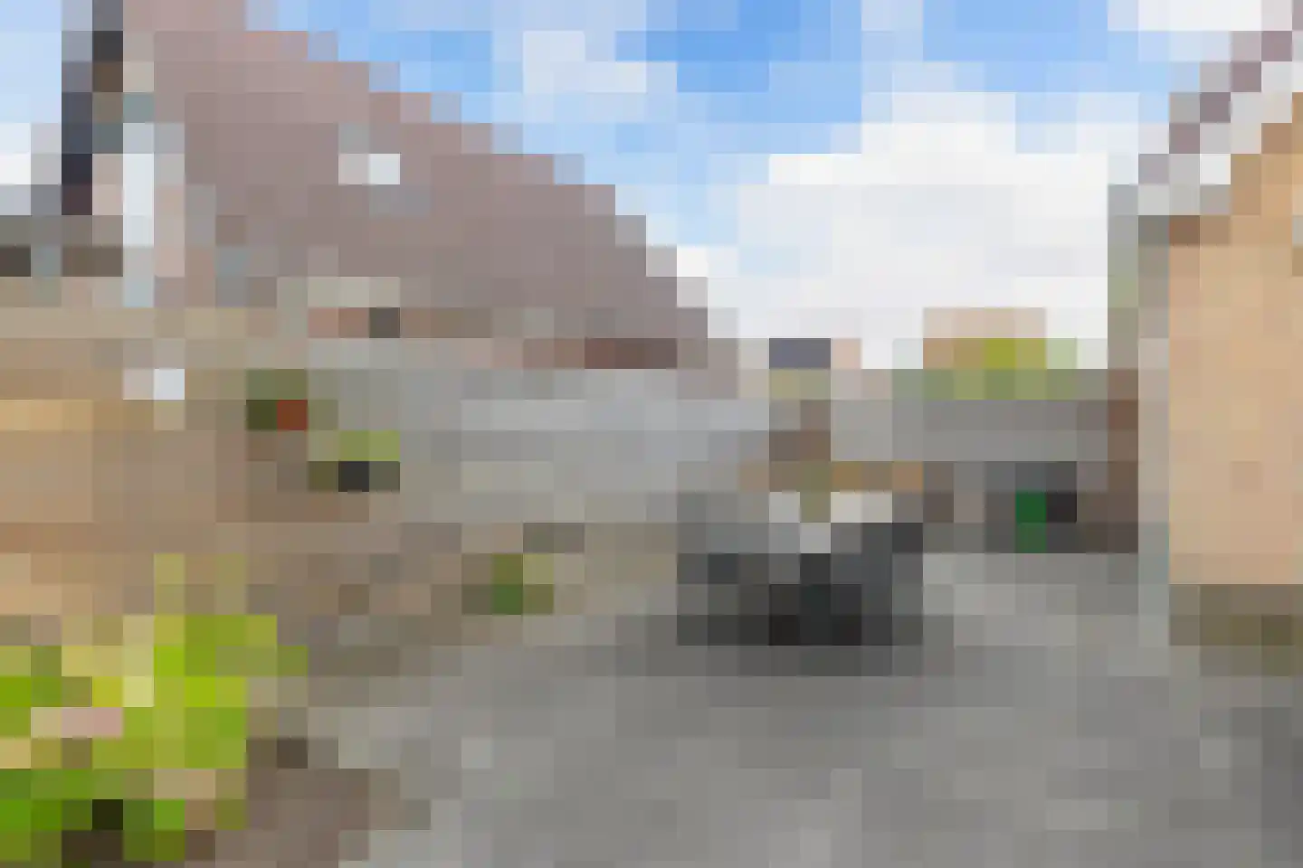 Meerkoet 16 Lemmer thumbnail 41