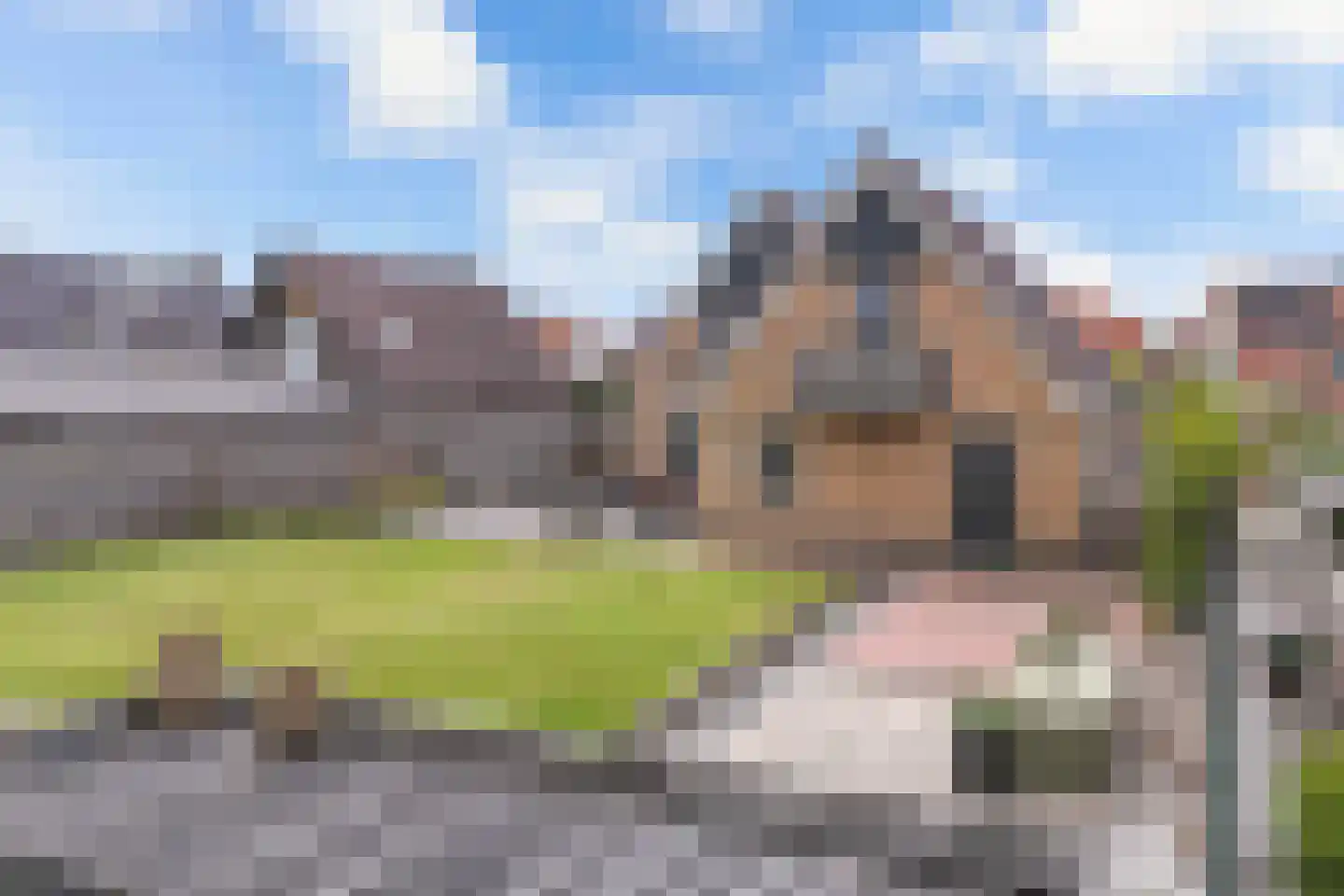 Meerkoet 16 Lemmer thumbnail 45