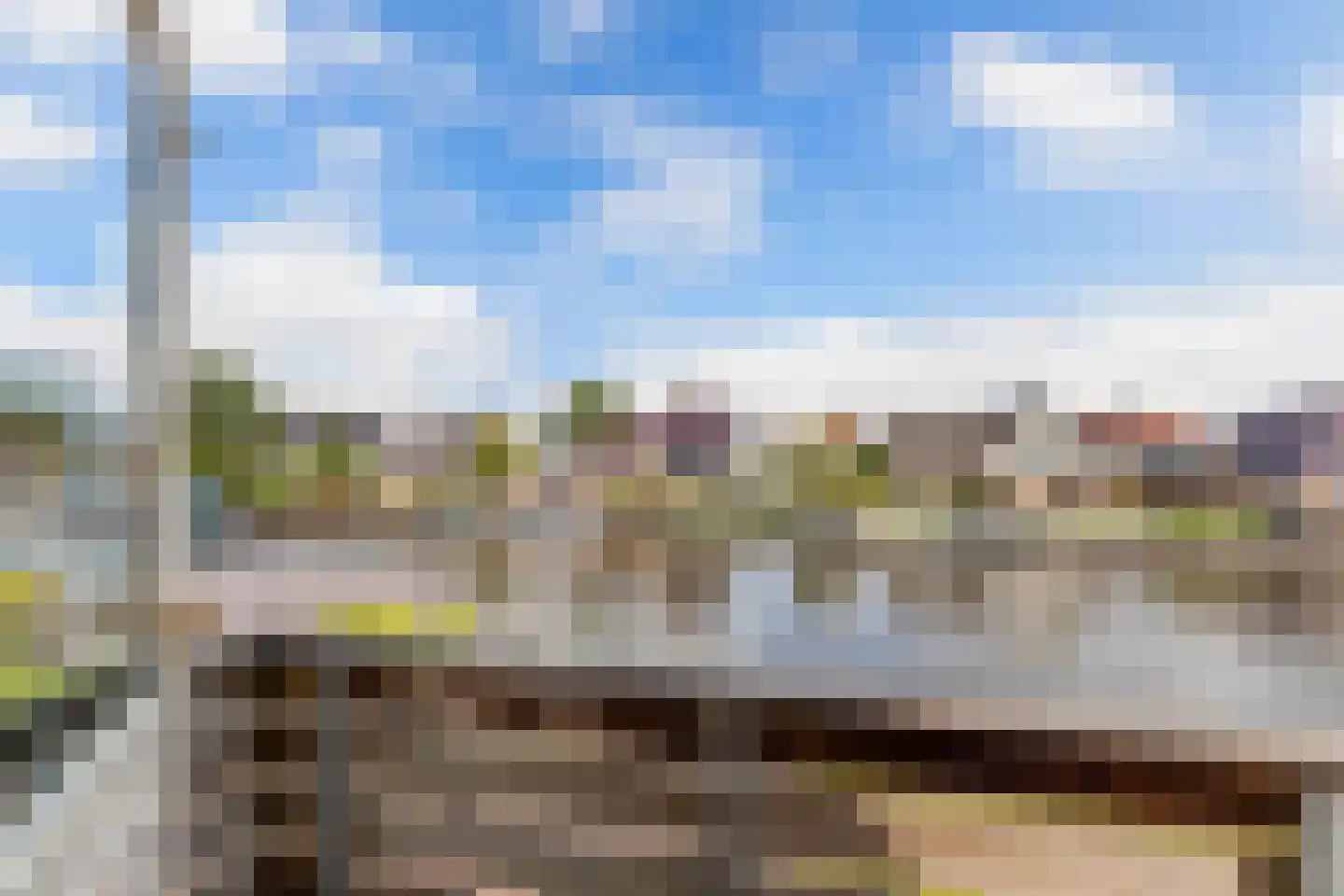 Meerkoet 16 Lemmer thumbnail 56