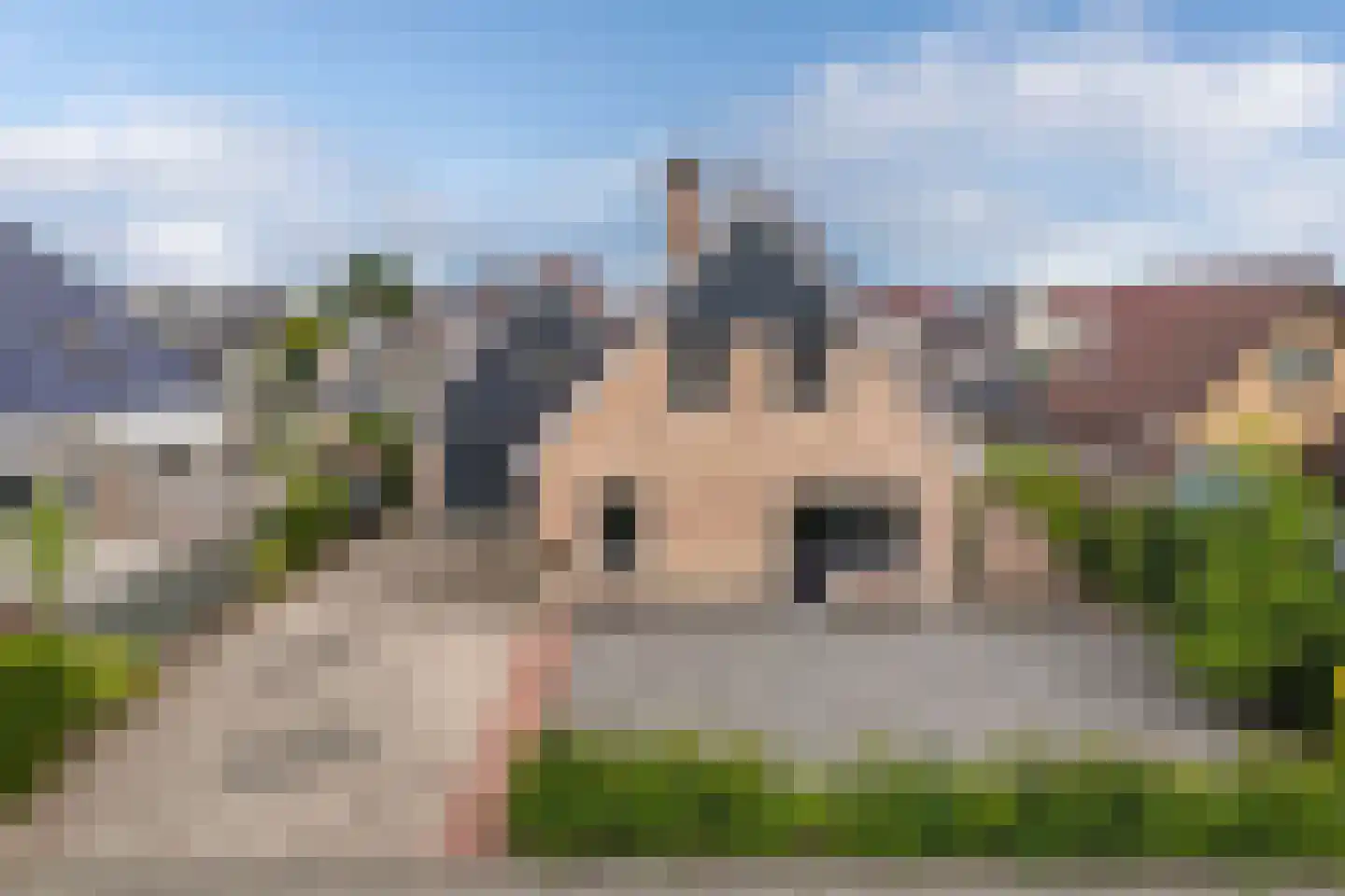 Meerkoet 16 Lemmer thumbnail 65