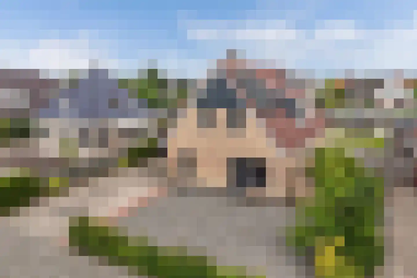 Meerkoet 16 Lemmer thumbnail 67