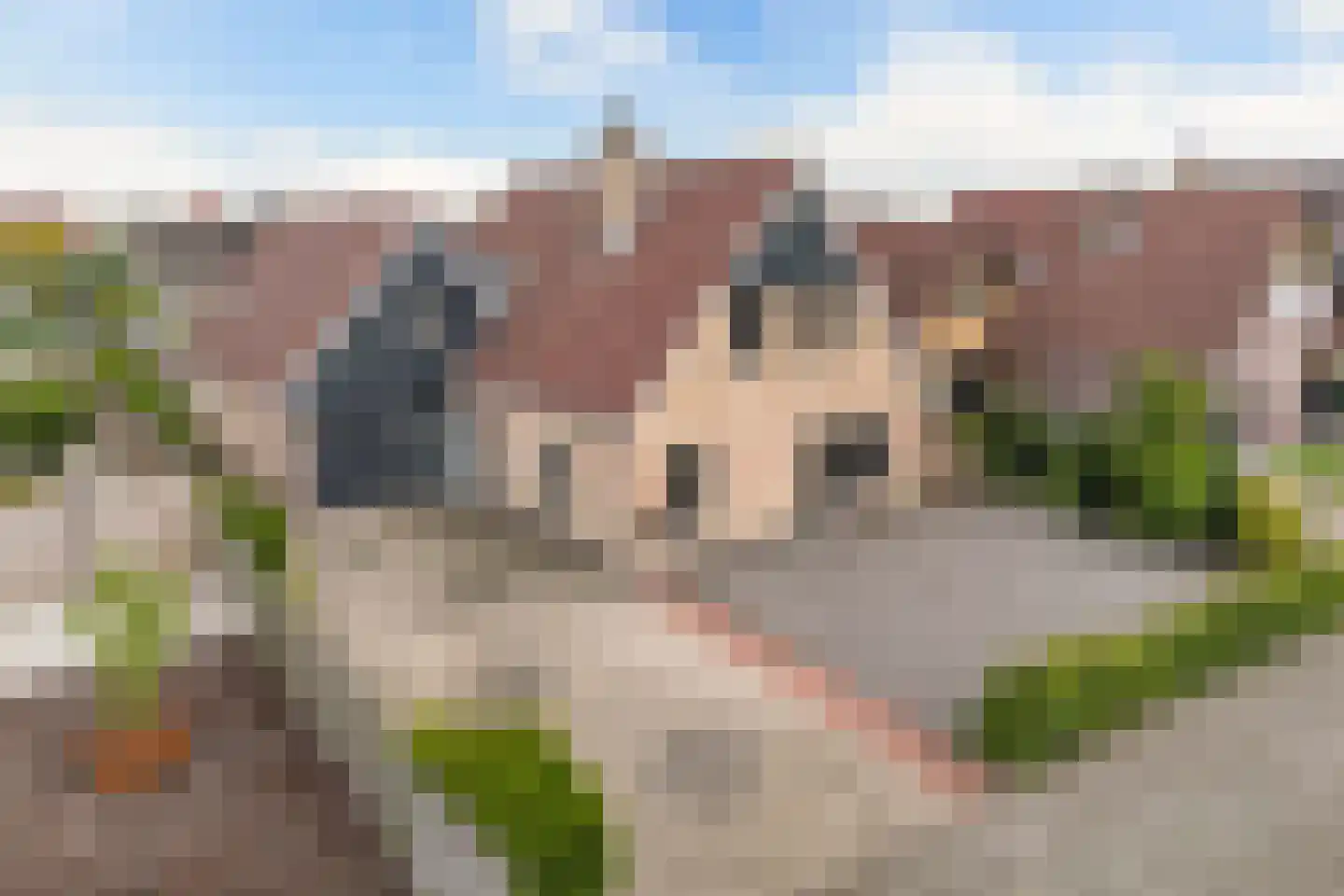 Meerkoet 16 Lemmer thumbnail 7