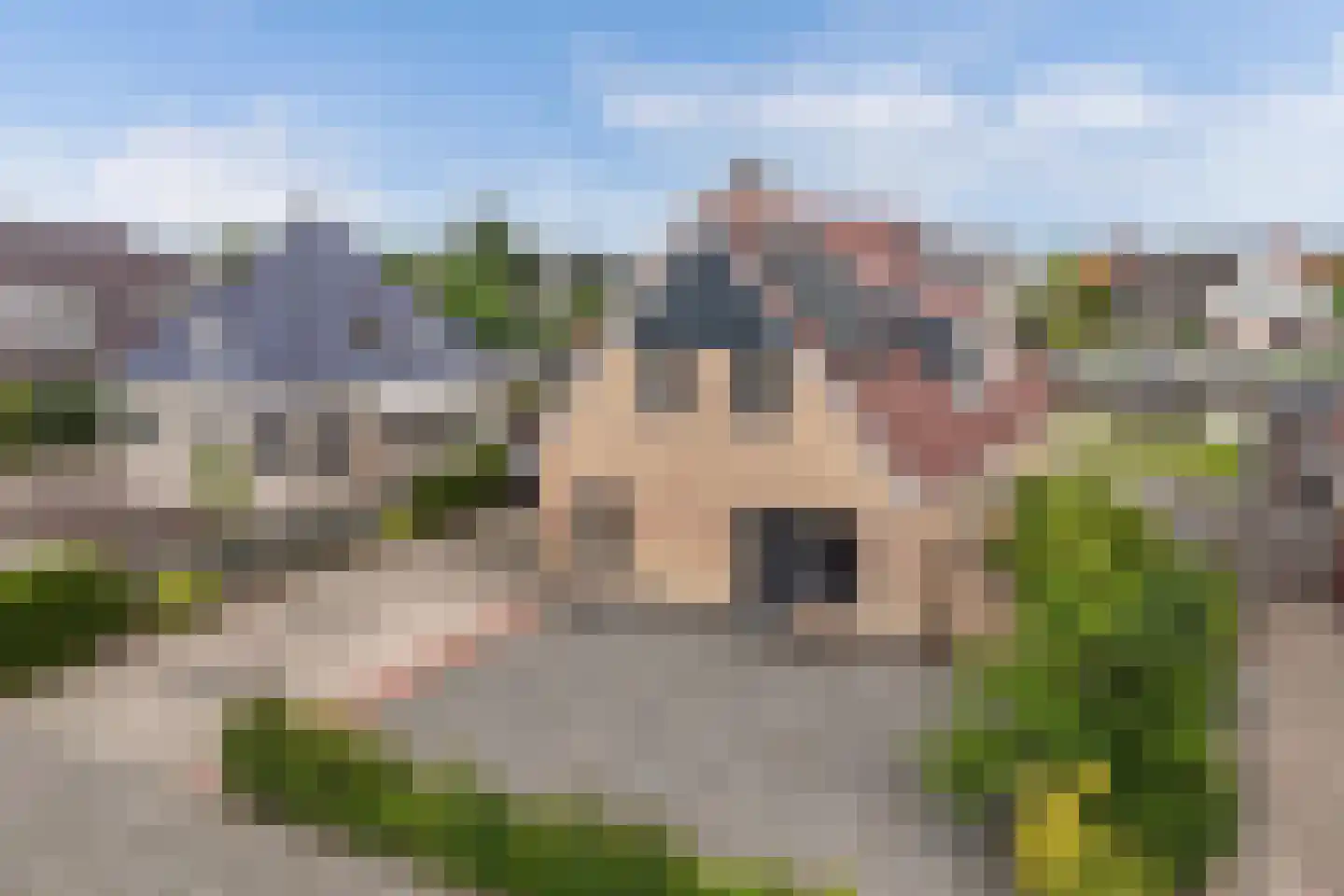 Meerkoet 16 Lemmer thumbnail 70