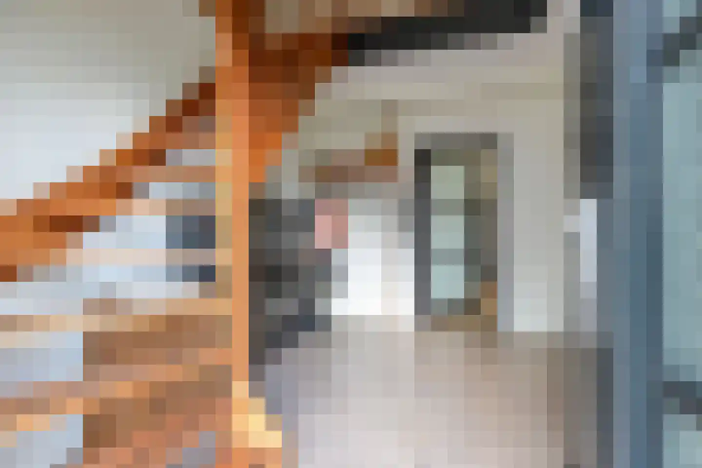 Meerkoet 16 Lemmer thumbnail 9