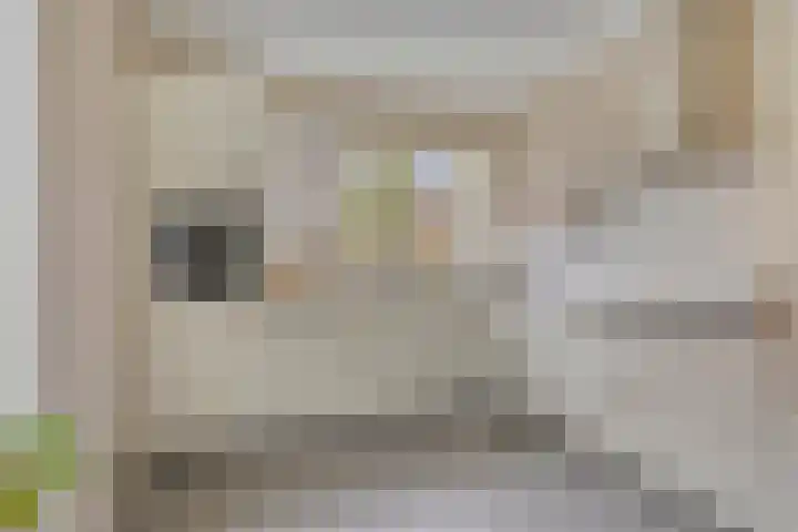 Meerkoet 17 Bedum thumbnail 14