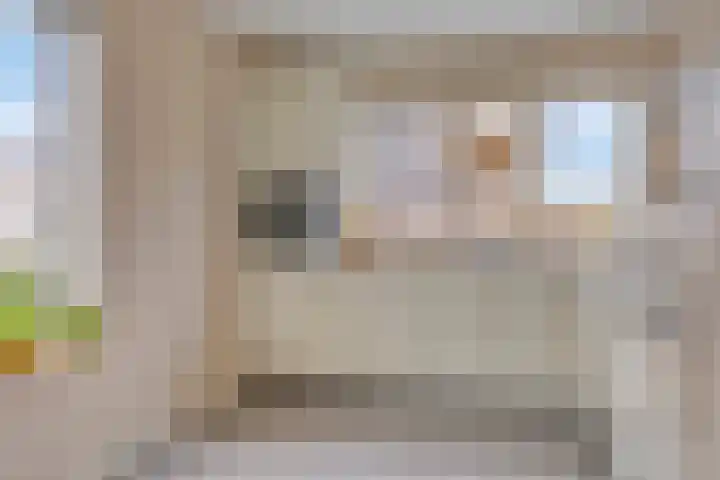 Meerkoet 17 Bedum thumbnail 15