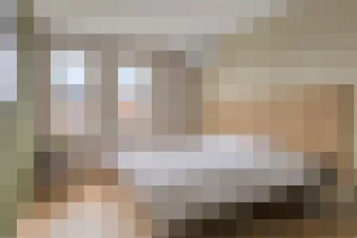 Meerkoet 17 Bedum thumbnail 18