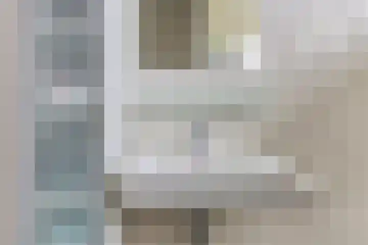 Meerkoet 17 Bedum thumbnail 22