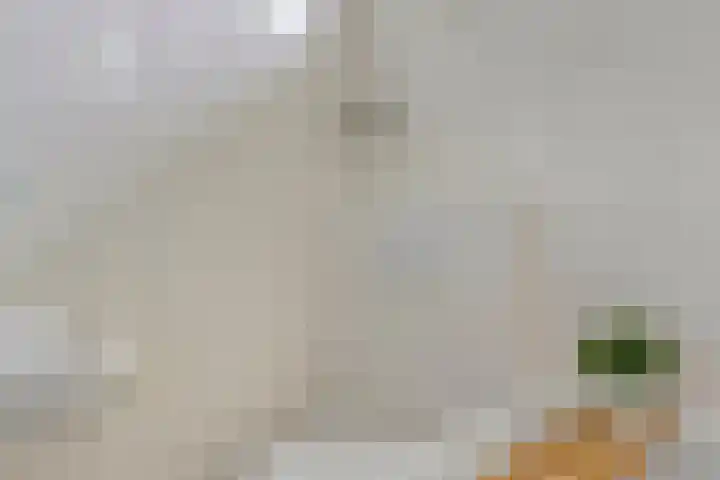 Meerkoet 17 Bedum thumbnail 23