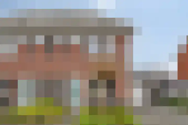 Meerkoet 17 Bedum thumbnail 5