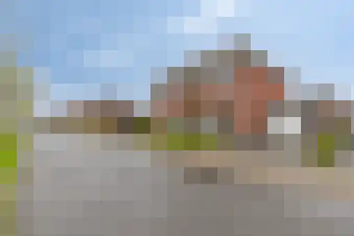 Meerkoet 17 Bedum thumbnail 6