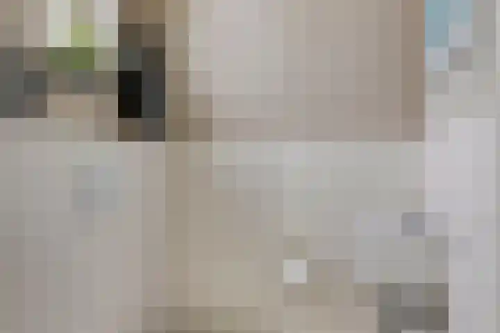 Meerkoet 17 Bedum thumbnail 8