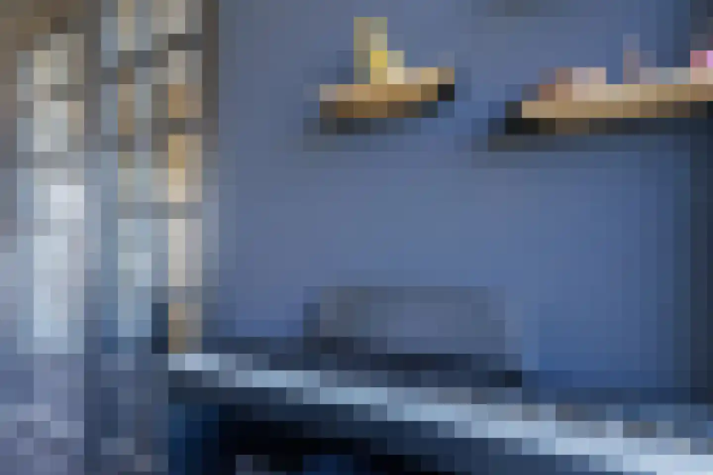 Meerkoet 17 Blauwestad thumbnail 20
