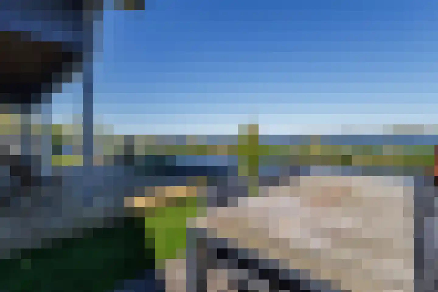 Meerkoet 17 Blauwestad thumbnail 37