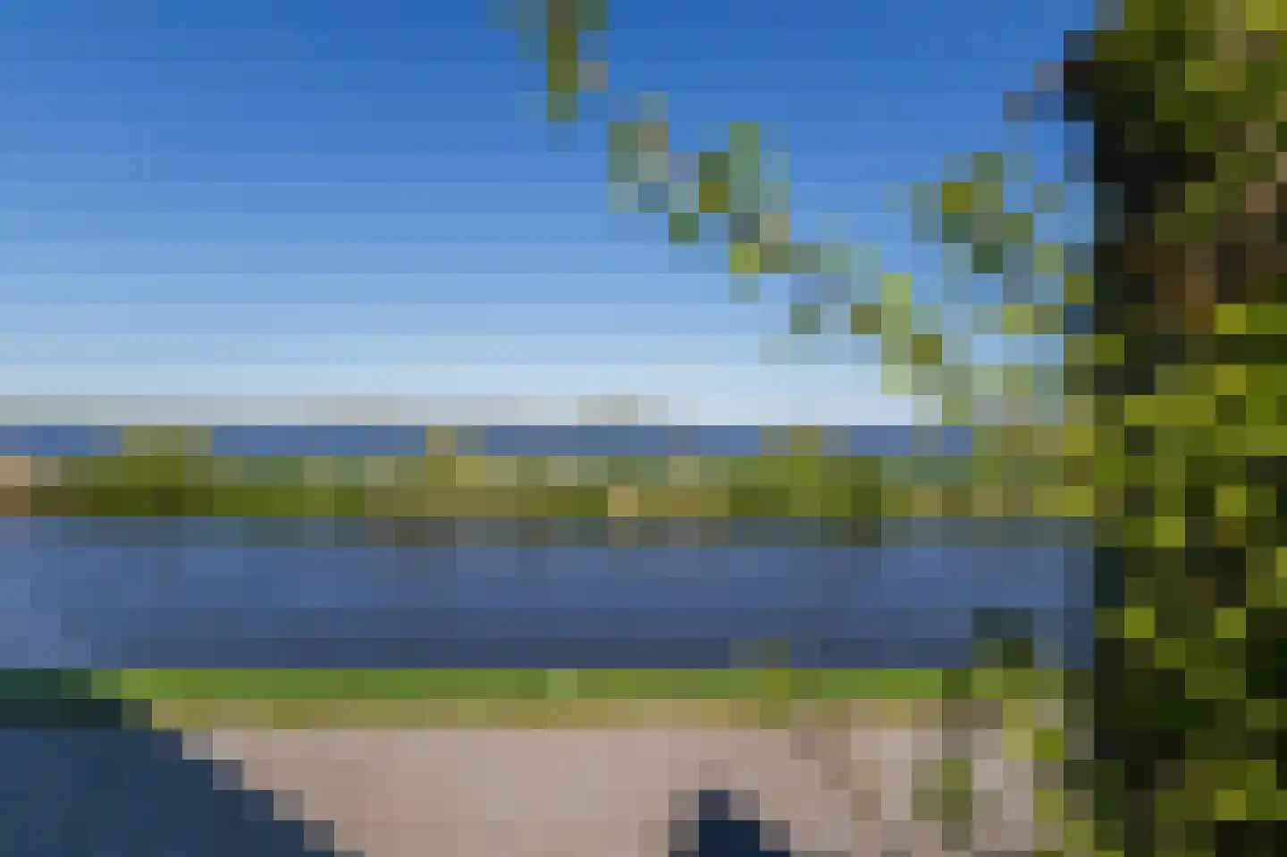 Meerkoet 17 Blauwestad thumbnail 38