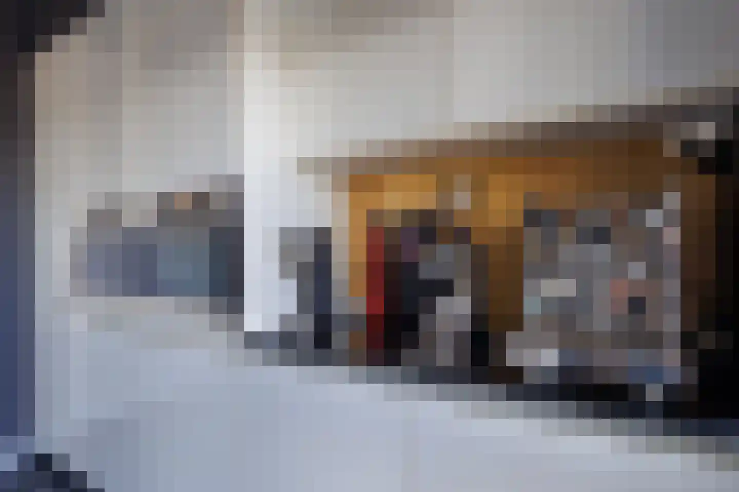Meerkoet 17 Blauwestad thumbnail 42