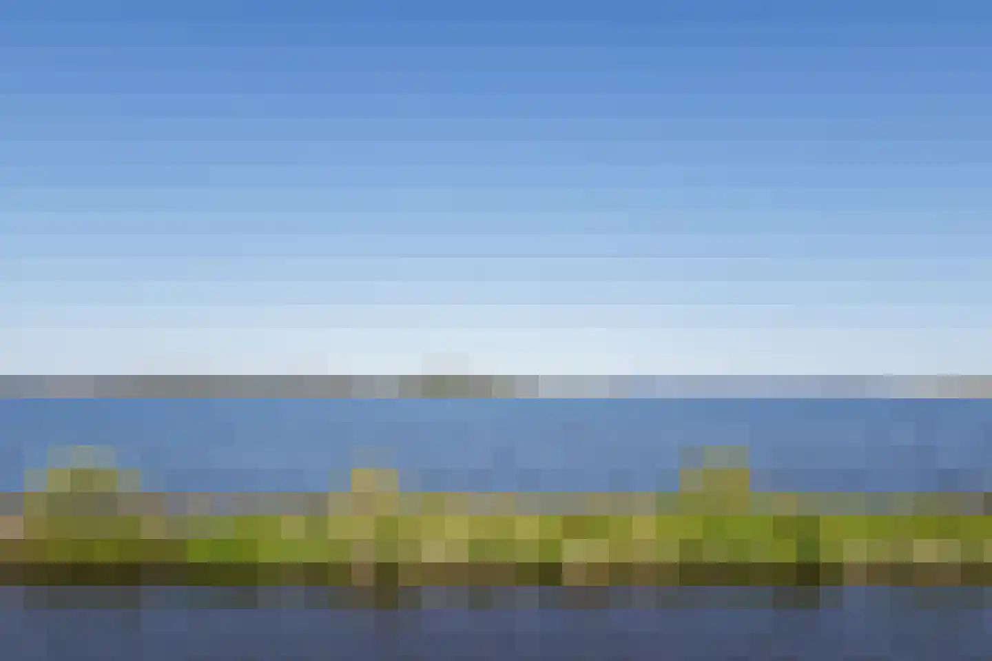 Meerkoet 17 Blauwestad thumbnail 86