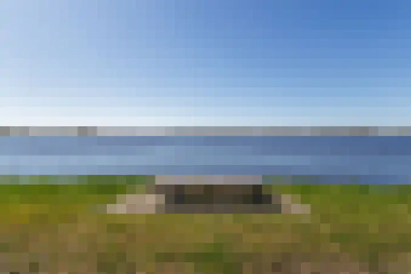 Meerkoet 17 Blauwestad thumbnail 99