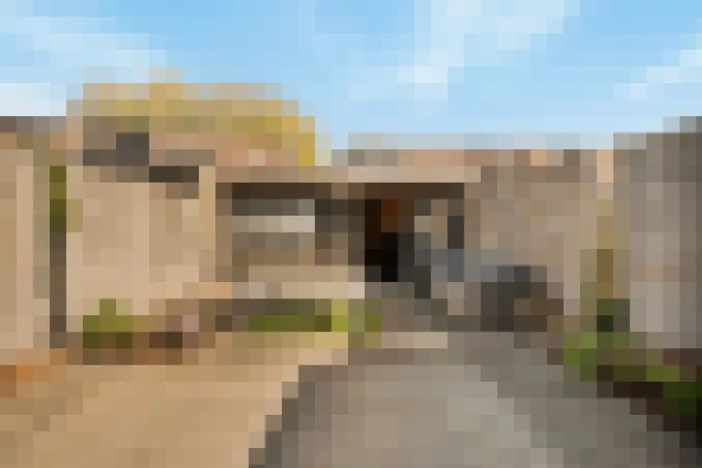 Meerkoet 18 Oud-Beijerland thumbnail 30