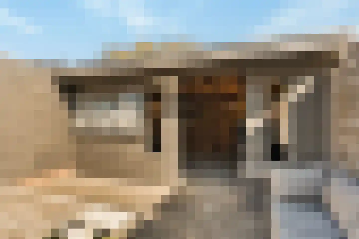 Meerkoet 18 Oud-Beijerland thumbnail 31