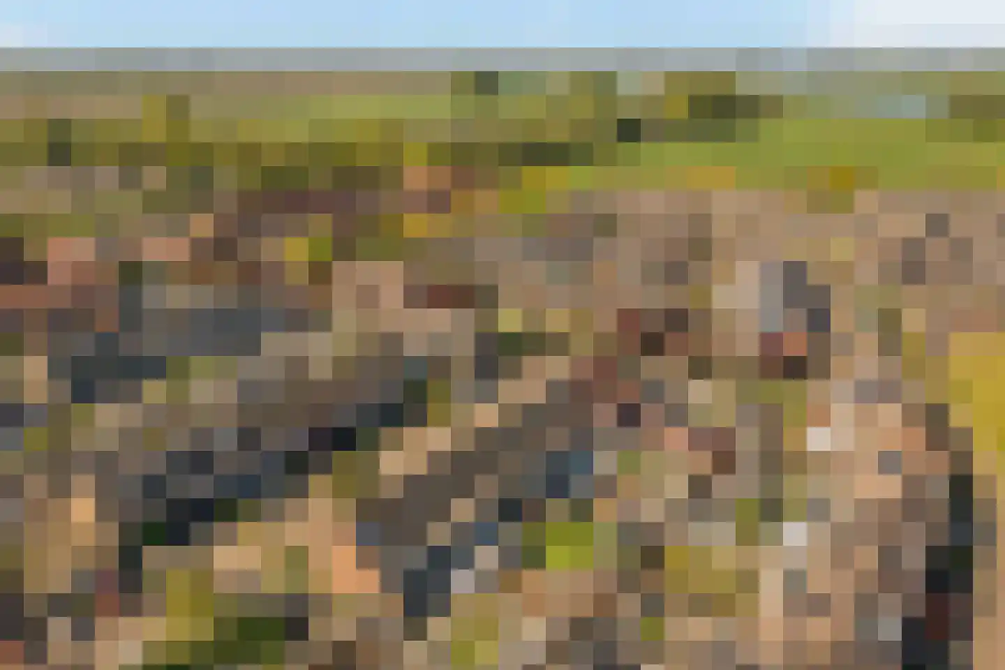 Meerkoet 18 Oud-Beijerland thumbnail 34