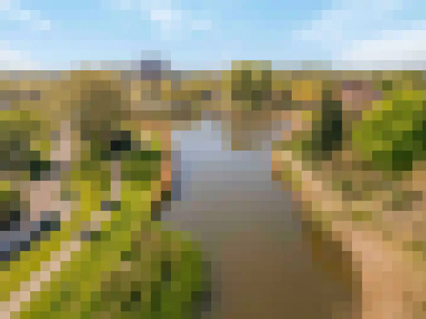 Meerkoet 18 Oud-Beijerland thumbnail 35
