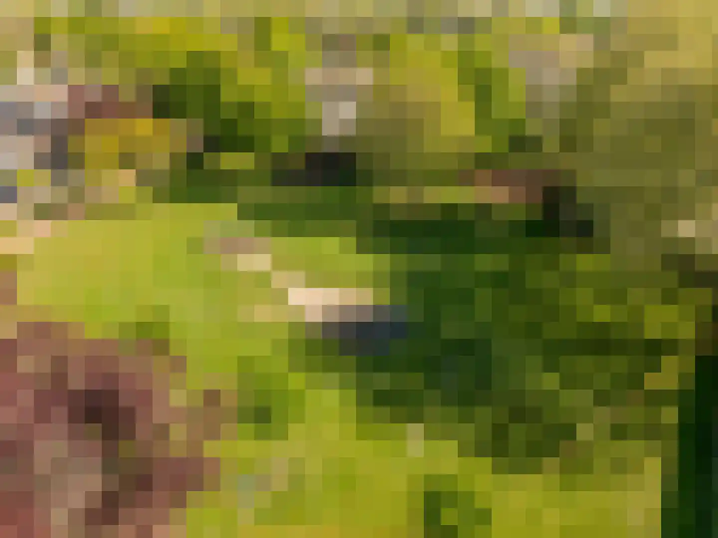 Meerkoet 18 Oud-Beijerland thumbnail 36
