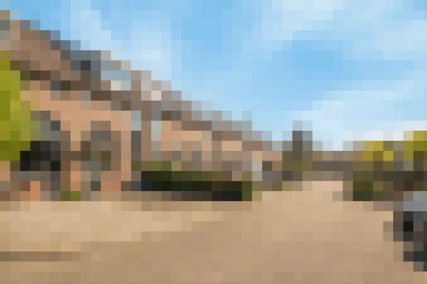 Meerkoet 18 Oud-Beijerland thumbnail 37