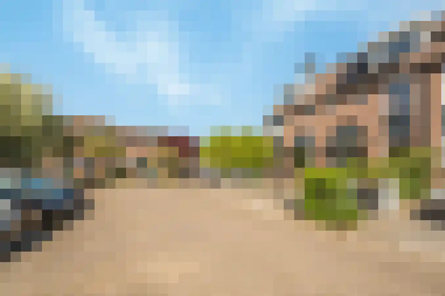 Meerkoet 18 Oud-Beijerland thumbnail 4