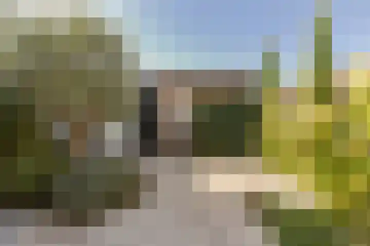 Meerkoet 18 Veenendaal thumbnail 30
