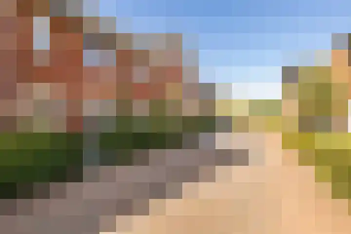 Meerkoet 18 Veenendaal thumbnail 35