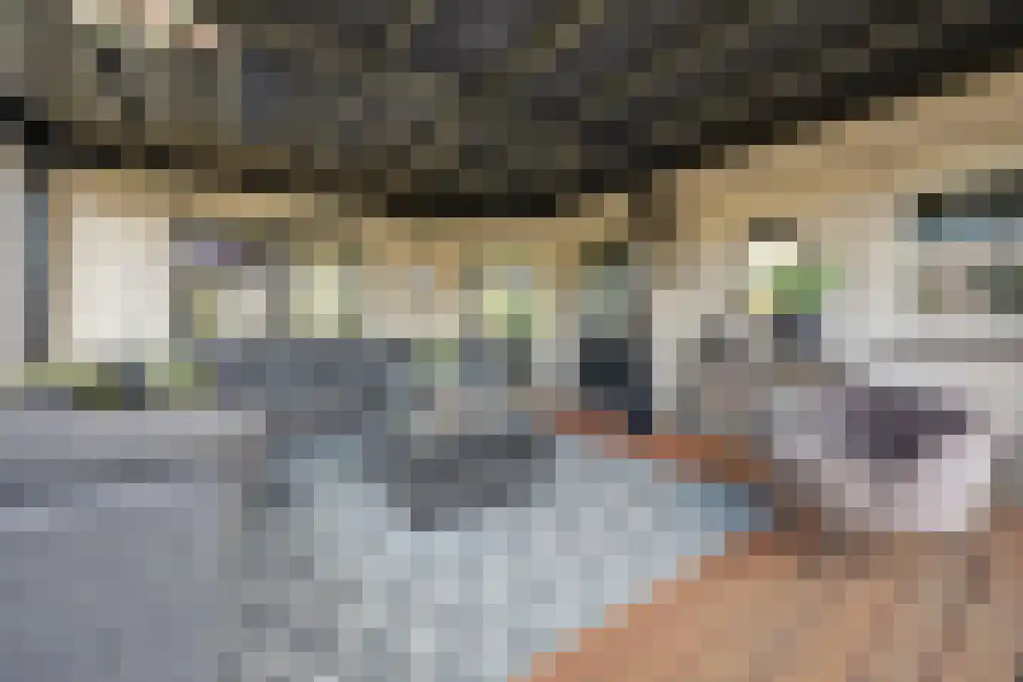 Meerkoet 19 Rozenburg thumbnail 20