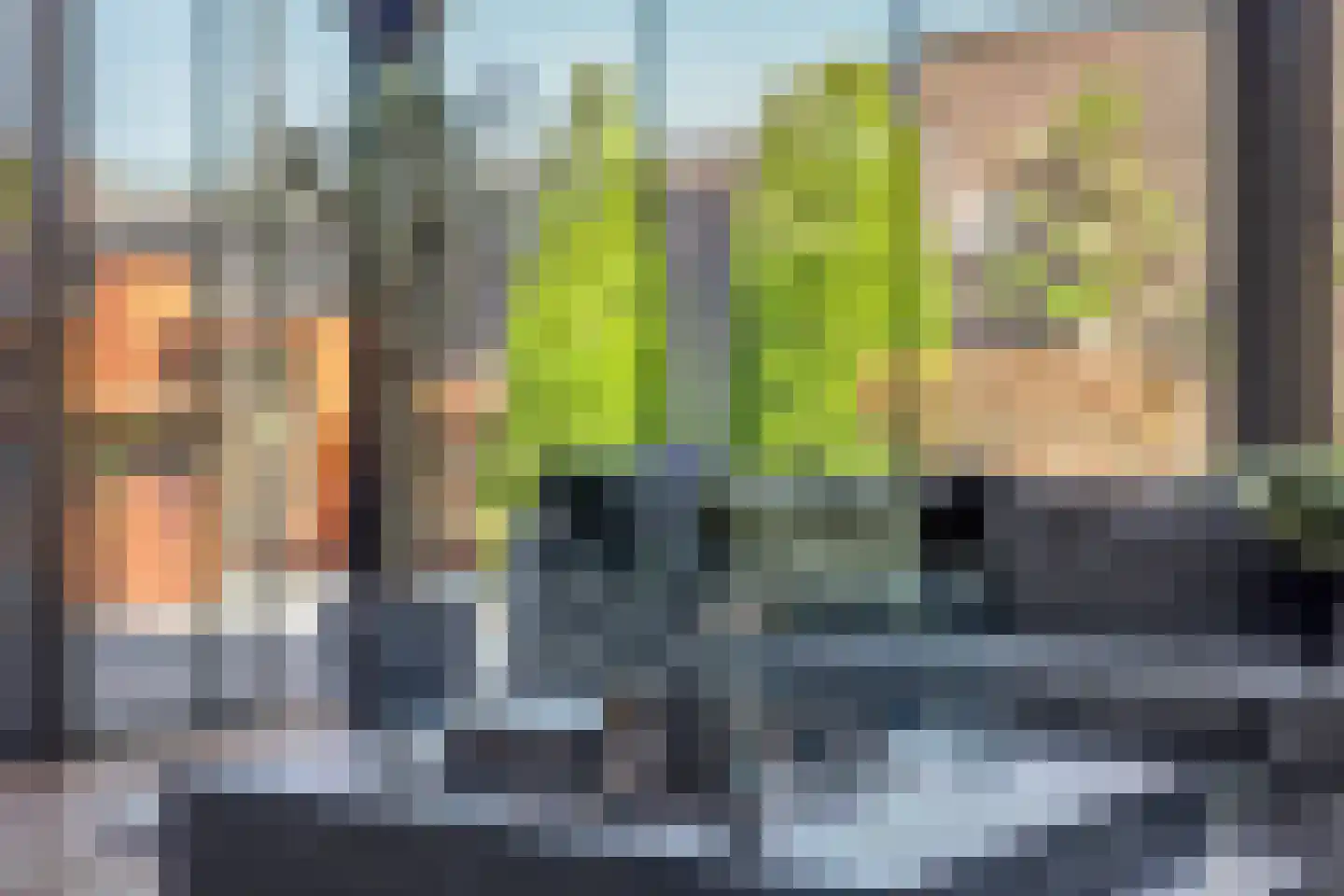 Meerkoet 19 Rozenburg thumbnail 21