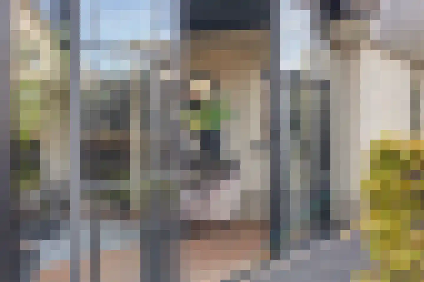 Meerkoet 19 Rozenburg thumbnail 37