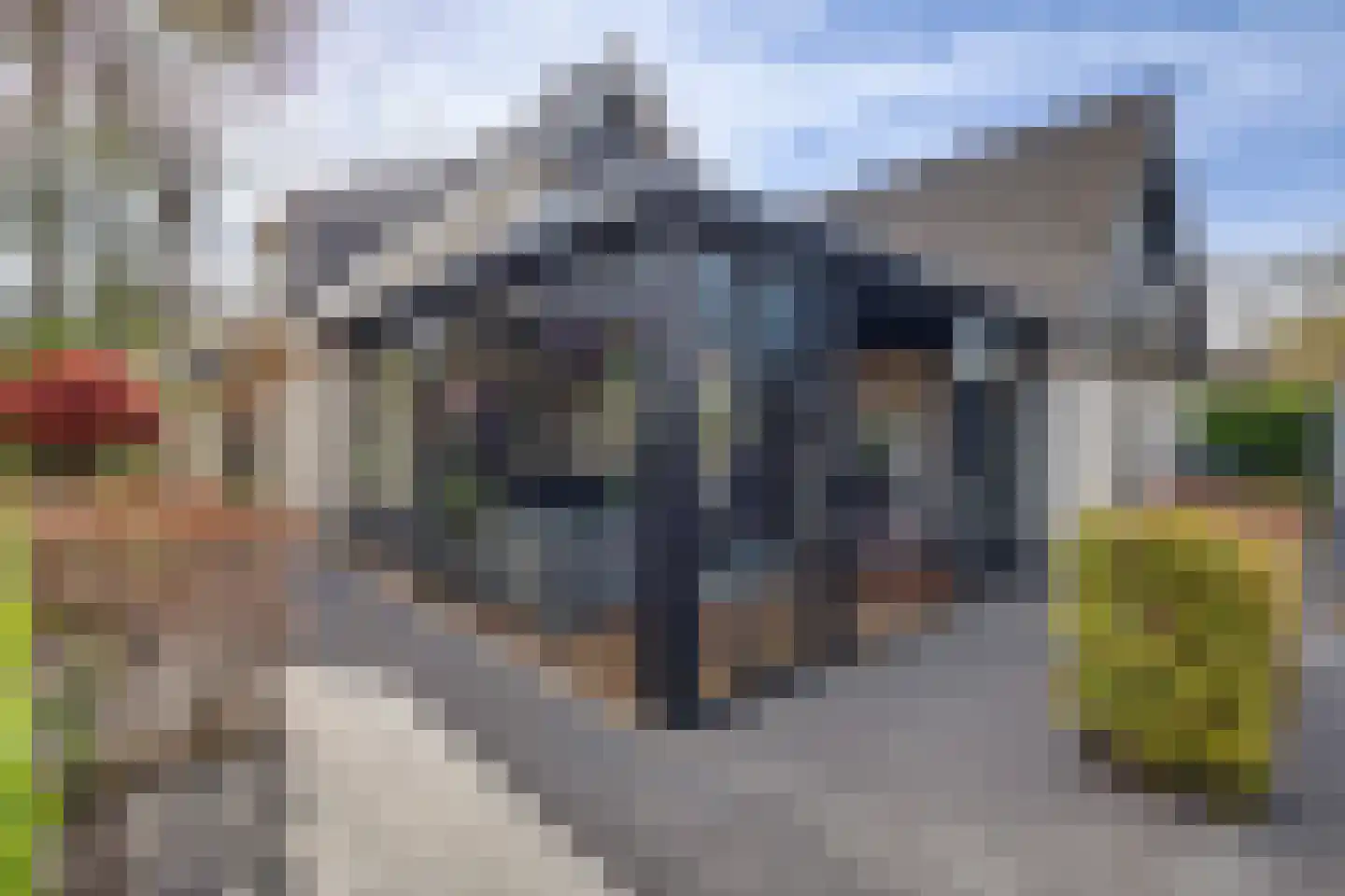 Meerkoet 19 Rozenburg thumbnail 38