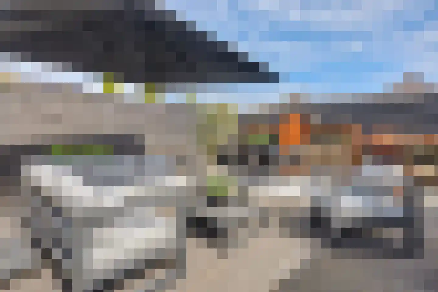 Meerkoet 19 Rozenburg thumbnail 41