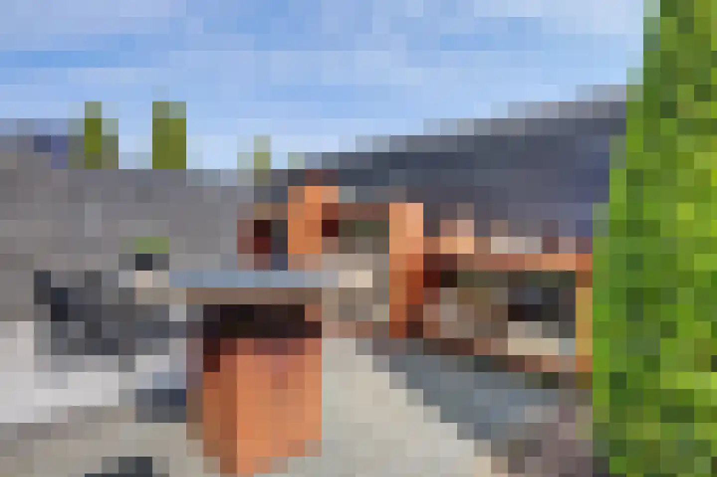 Meerkoet 19 Rozenburg thumbnail 43