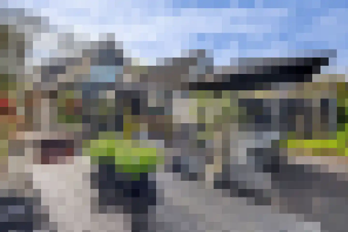 Meerkoet 19 Rozenburg thumbnail 44