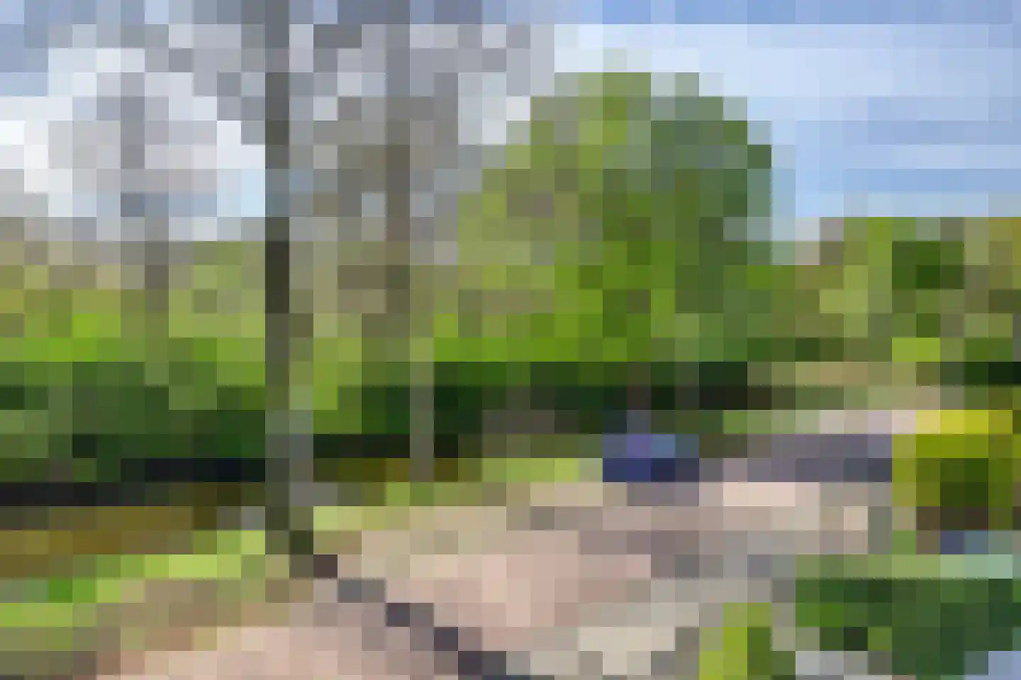 Meerkoet 19 Rozenburg thumbnail 46