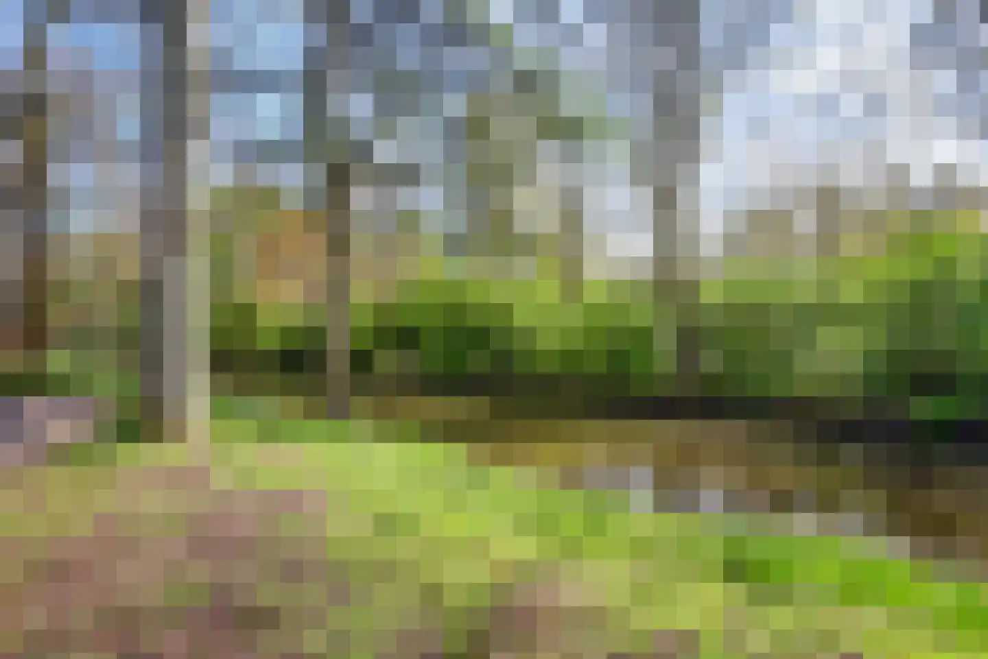 Meerkoet 19 Rozenburg thumbnail 47