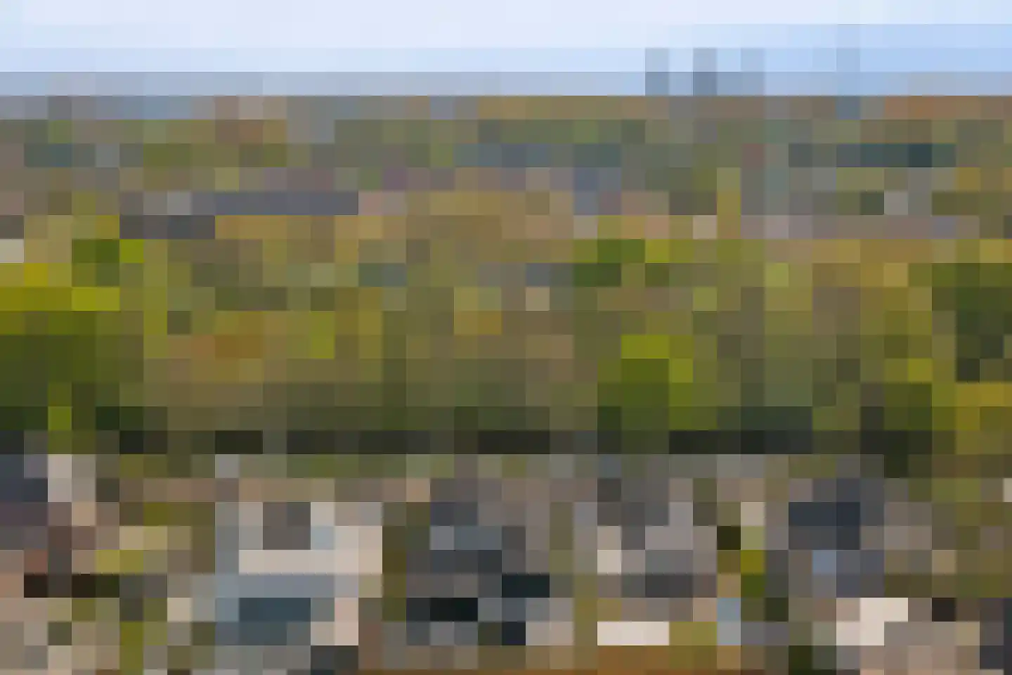 Meerkoet 19 Rozenburg thumbnail 50