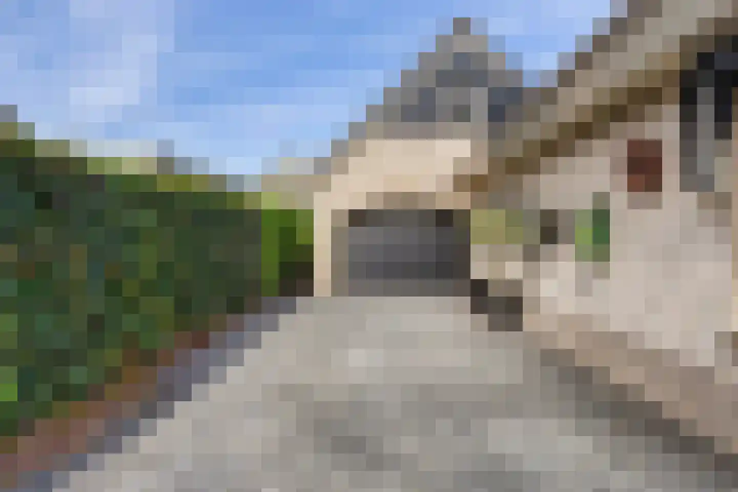 Meerkoet 19 Rozenburg thumbnail 51