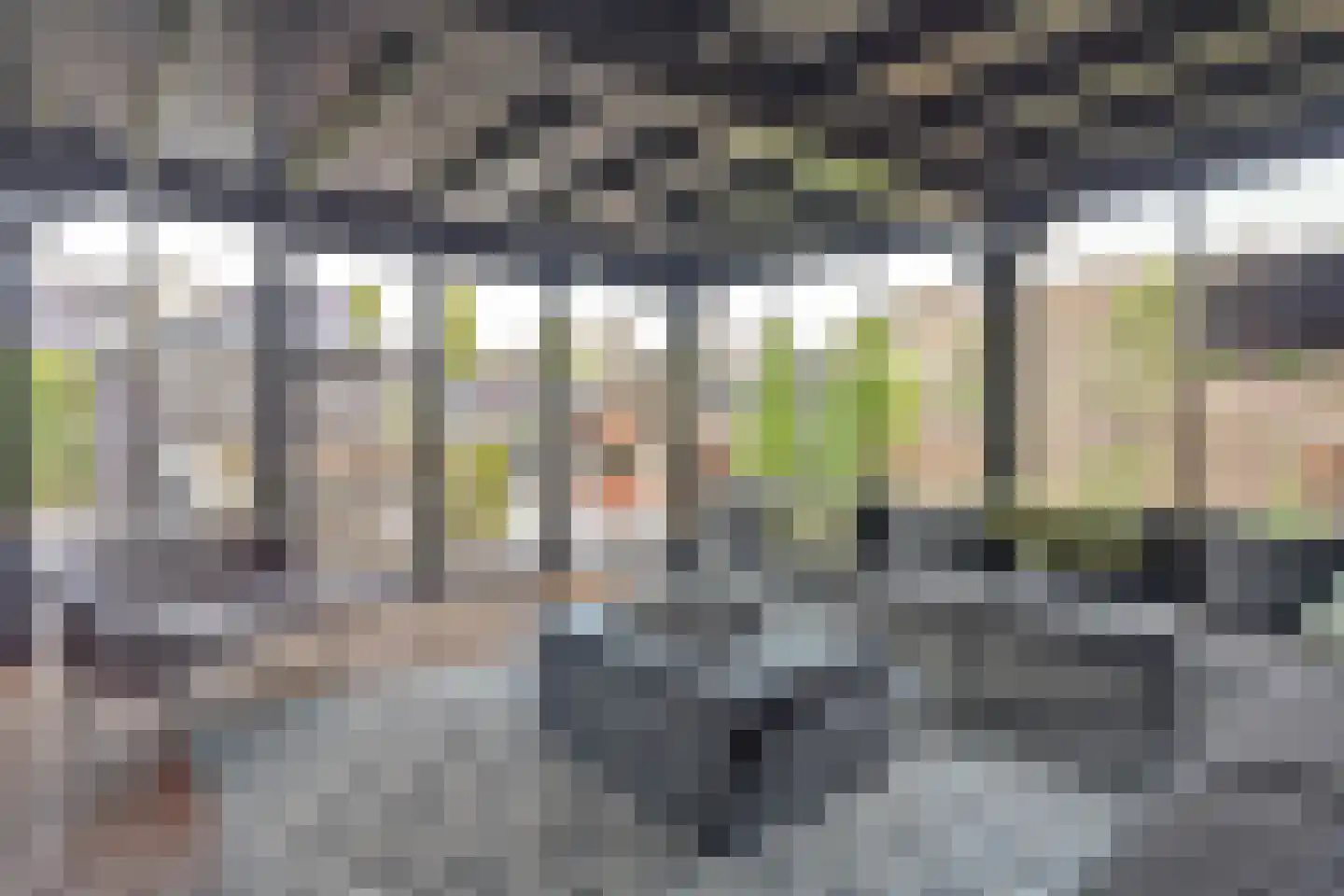 Meerkoet 19 Rozenburg thumbnail 6
