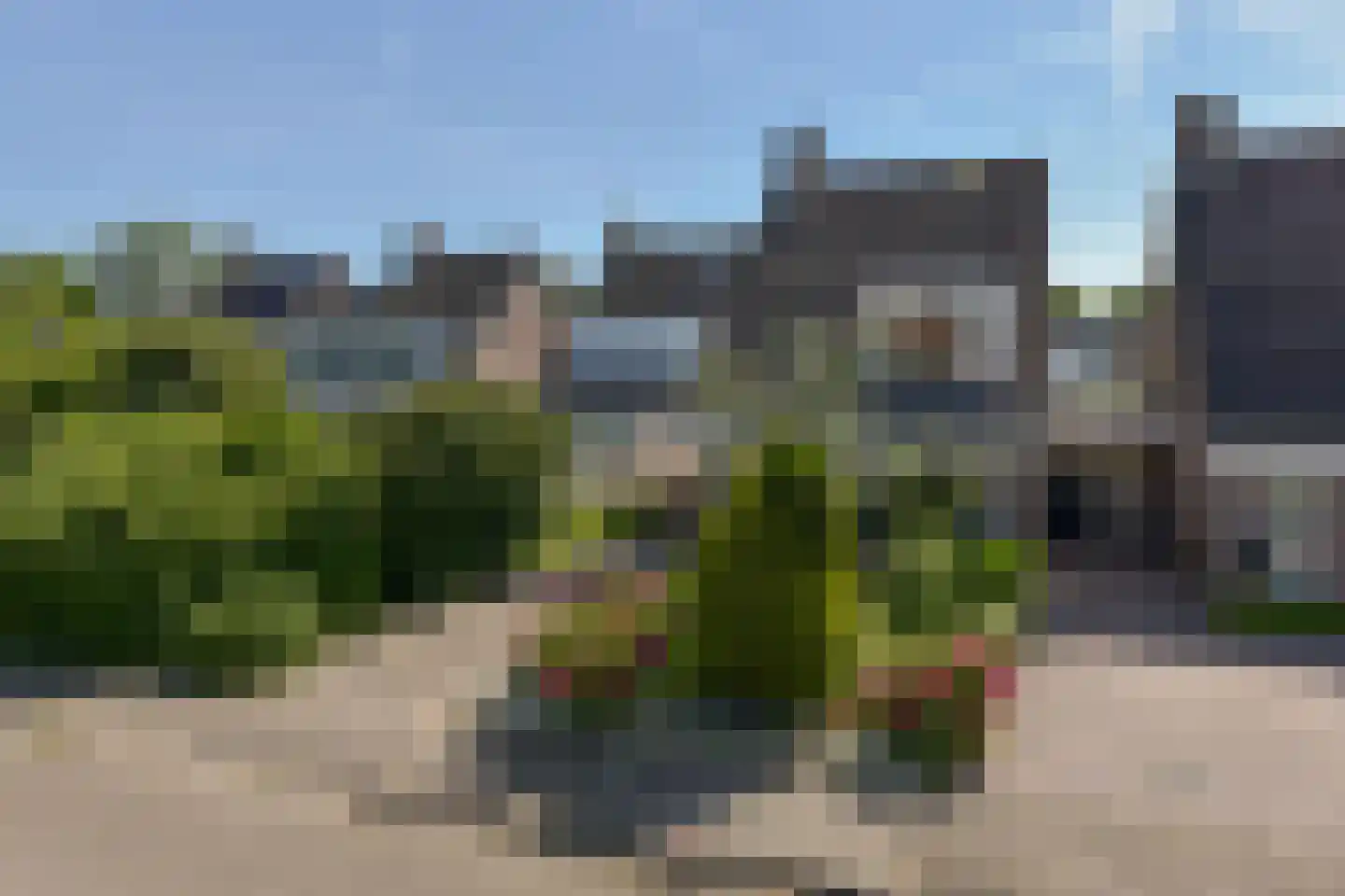 Meerkoet 2 A in Mijdrecht